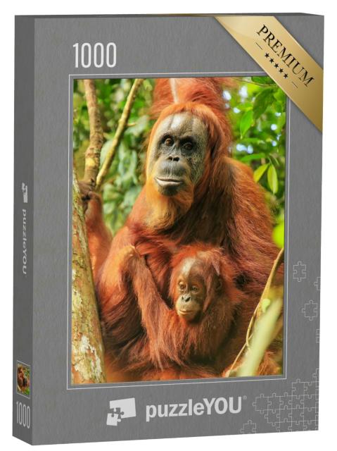 Puzzle 1000 Teile „Weiblicher Sumatra-Orang-Utan mit einem Baby, Indonesien“