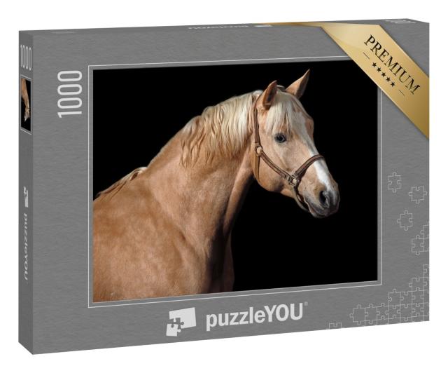 Puzzle 1000 Teile „Palomino Pferd“