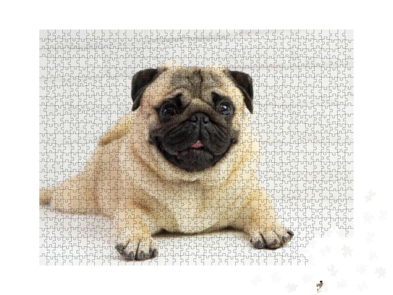 Puzzle 1000 Teile „Kleiner Mops“