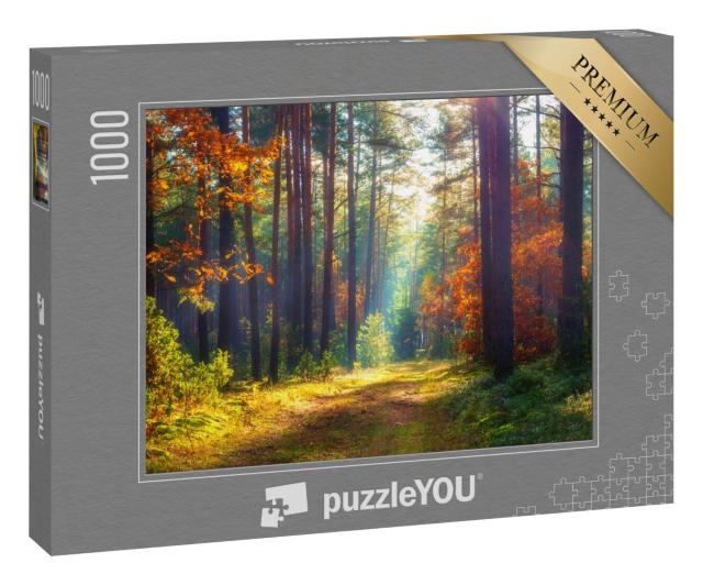 Puzzle 1000 Teile „Herbstliche Naturlandschaft“