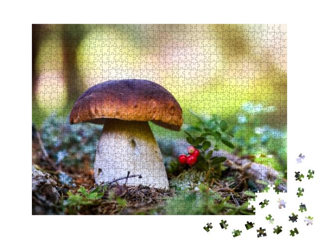 Puzzle 1000 Teile „Ein Steinpilz im Wald“