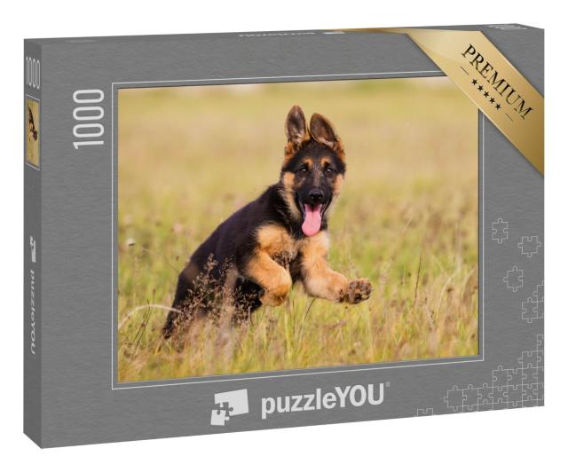 Puzzle 1000 Teile „Deutscher-Schäferhund-Welpe läuft durch das Gras “