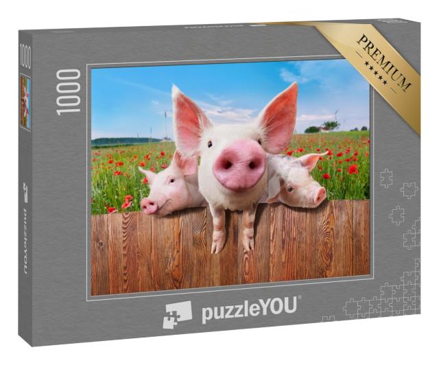 Puzzle 1000 Teile „Junge Schweine auf dem Bauernhof schauen über den Zaun“