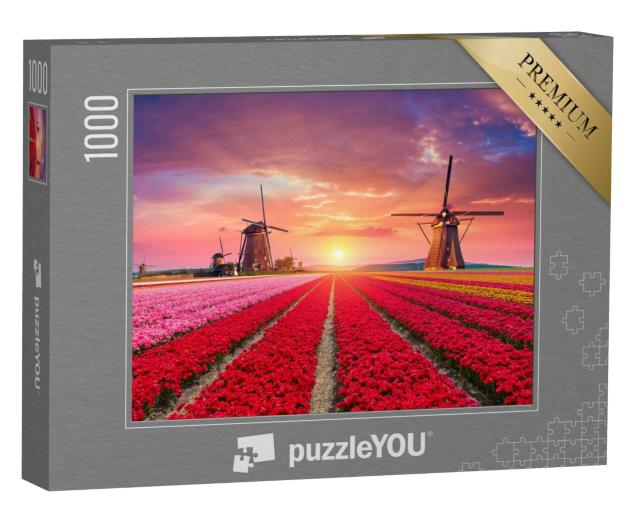 Puzzle 1000 Teile „Farbenprächtige Tulpenfelder mit Windmühlen, Niederlande“