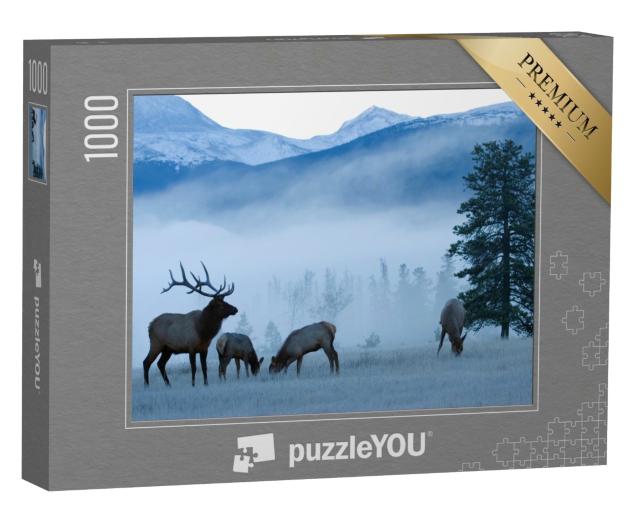 Puzzle 1000 Teile „Elchbulle und Kühe, Rocky Mountains“