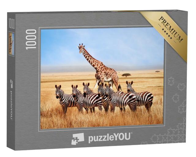 Puzzle 1000 Teile „Gruppe von Zebras und Giraffe in der afrikanischen Savanne, Tansania“