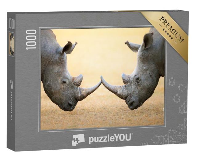 Puzzle 1000 Teile „Breitmaulnashörner, Kopf an Kopf - Kruger National Park, Südafrika“