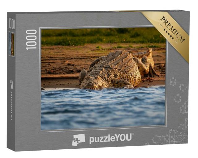 Puzzle 1000 Teile „Nilkrokodil am Flussufer öffnet sein Maul mit großen Zähnen“