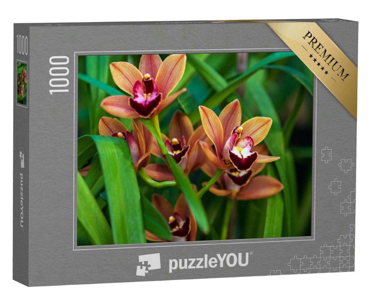 Puzzle 1000 Teile „Cymbidium Burgundian Chateau Orchidee mit orange-braunen Blüten“