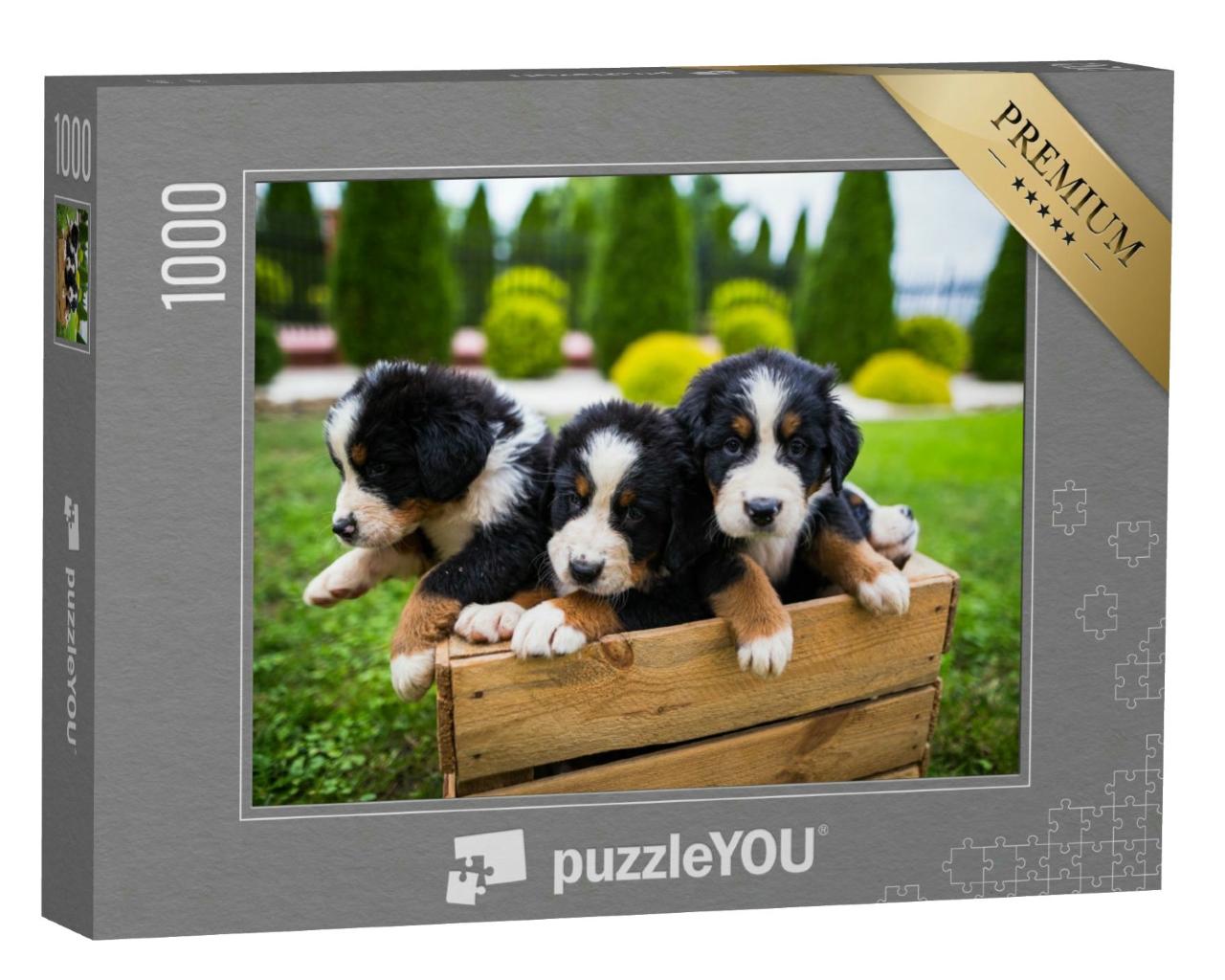 Puzzle 1000 Teile „Junge Berner Sennenhund “