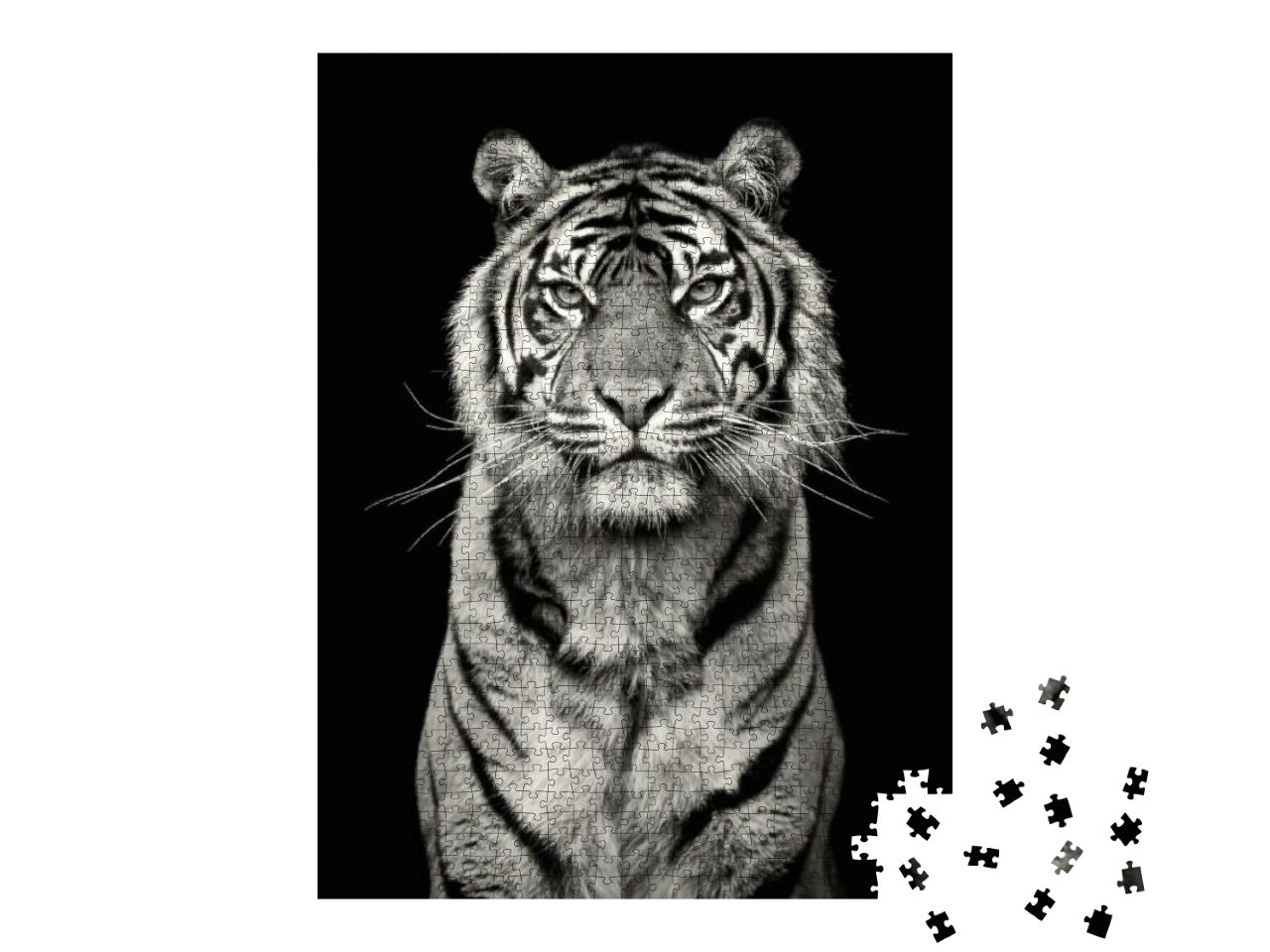 Puzzle 1000 Teile „Auge in Auge mit einem Tiger“