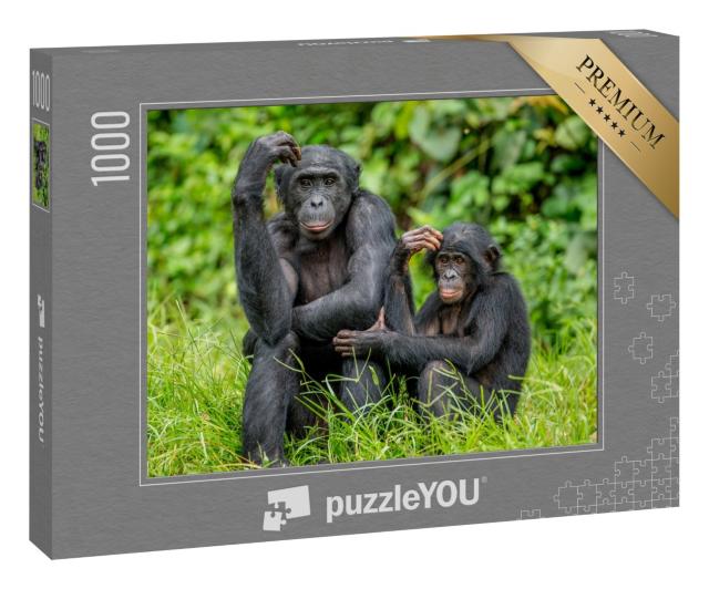 Puzzle 1000 Teile „Weiblicher Bonobo mit einem Baby im Kongo, Afrika“