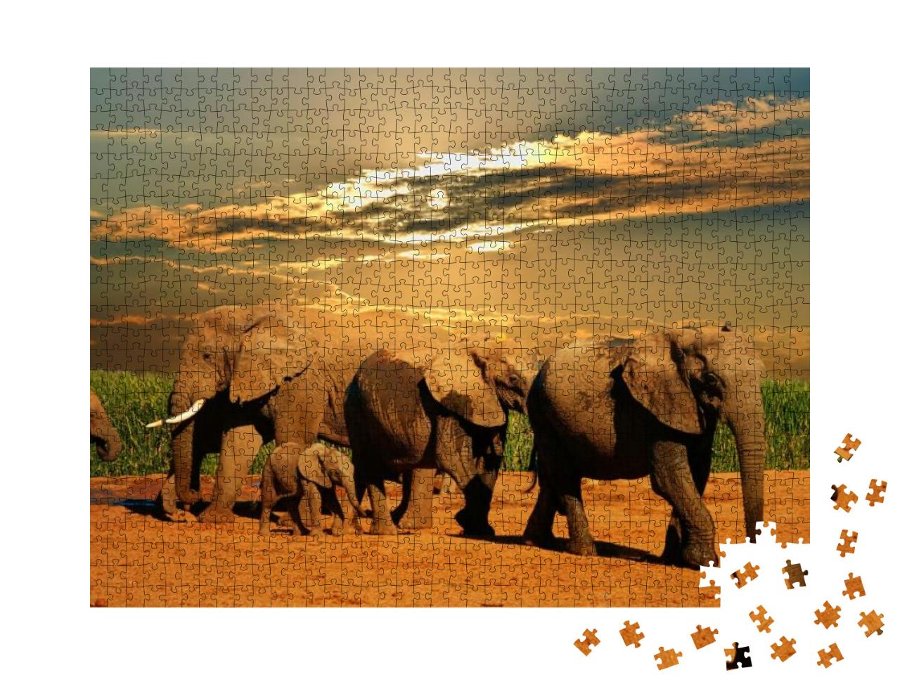 Puzzle 1000 Teile „Afrikanische Elefantenherde, Addo Elephant National Park, Südafrika“