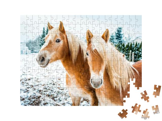Puzzle 200 Teile „Haflingerpferde auf einer schneebedeckten Wiese“