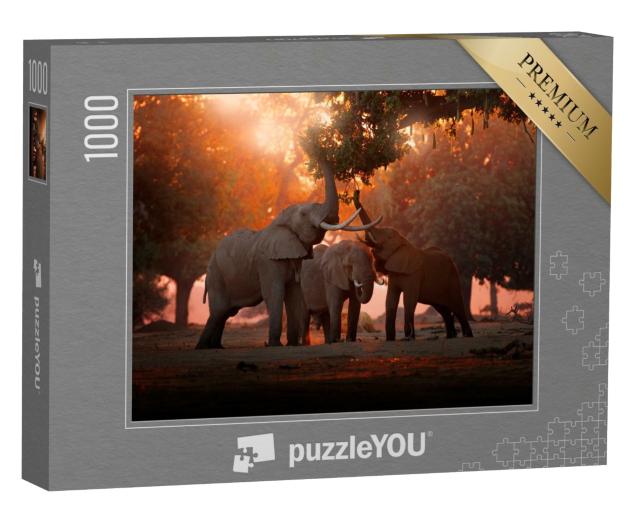 Puzzle 1000 Teile „Elefant beim Fressen im Mana Pools Nationalpark, Simbabwe“