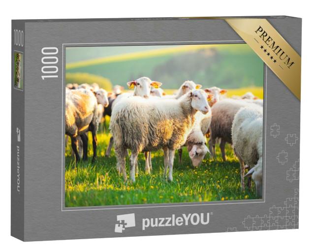 Puzzle 1000 Teile „Schafe auf einer Wiese bei Sonnenuntergang“