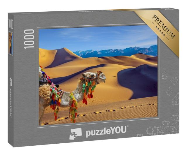 Puzzle 1000 Teile „Einhöckriges Kamel, Dromedar“