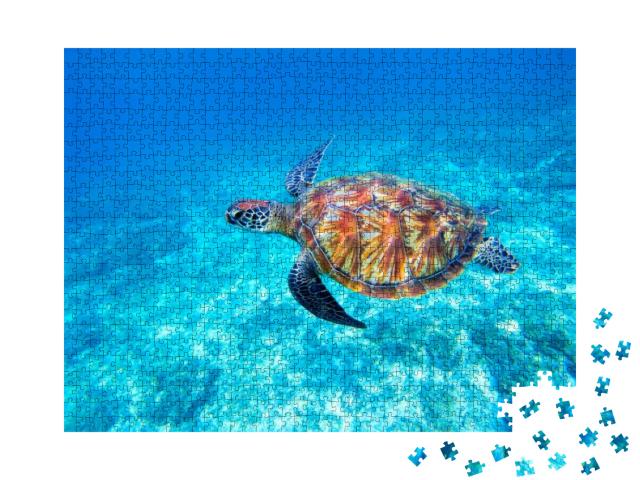 Puzzle 1000 Teile „Grüne Meeresschildkröte im flachen Meerwasser“