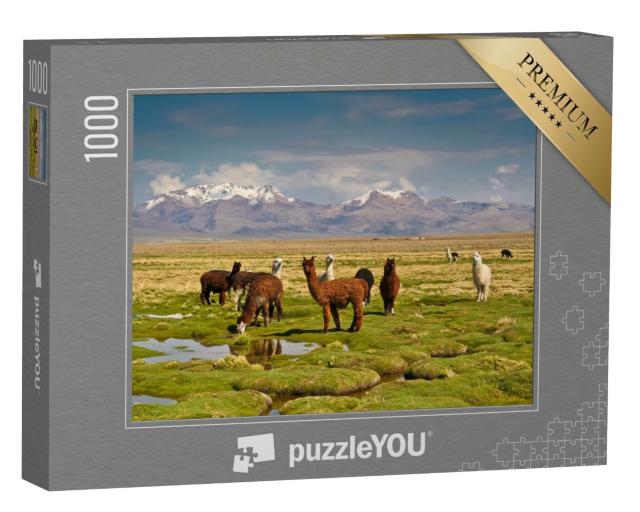 Puzzle 1000 Teile „Lamas in den Anden“