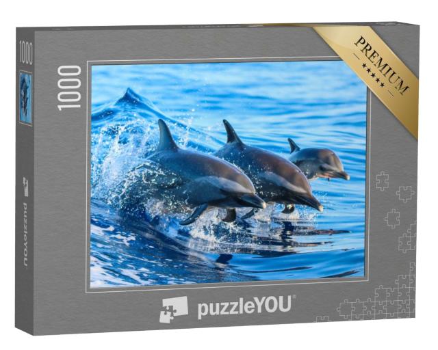 Puzzle 1000 Teile „Familie von Fleckendelfinen springt aus dem klaren Wasser vor Hawaii“