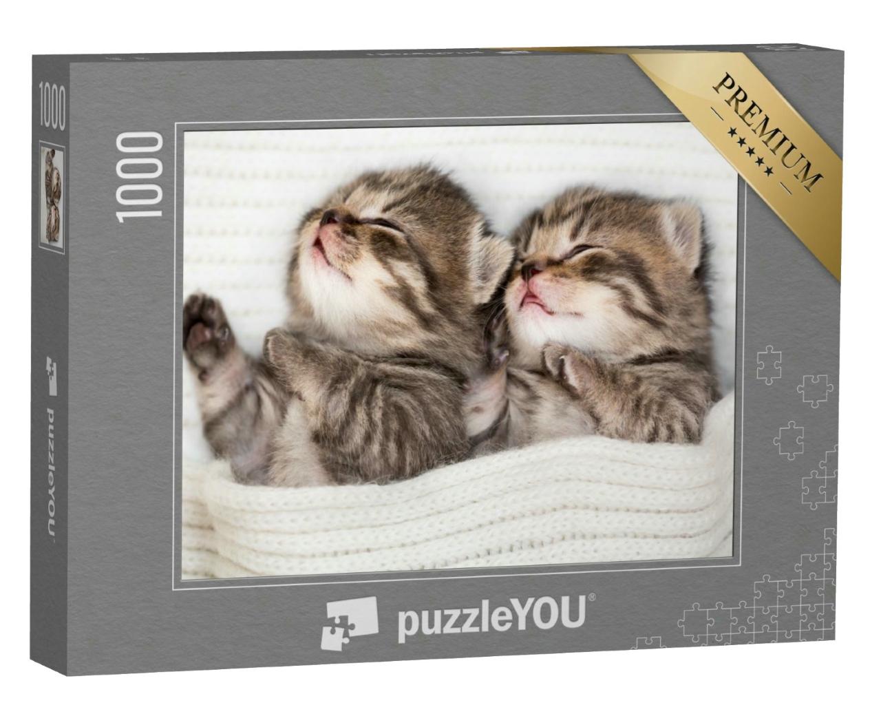 Puzzle 1000 Teile „Zwei schlafende Babykätzchen“