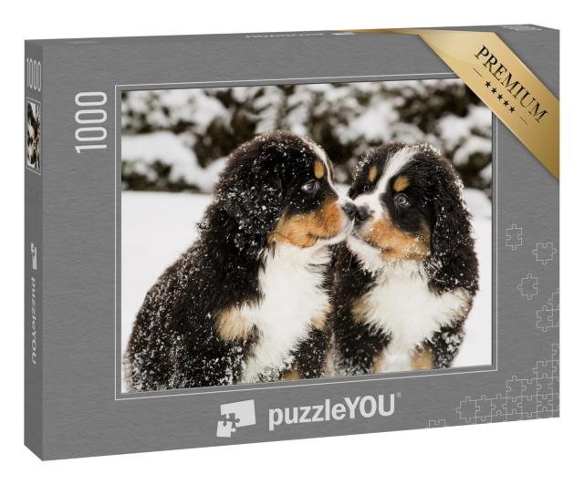 Puzzle 1000 Teile „Mit Schnee bestäubte Berner Sennenhund-Welpen“