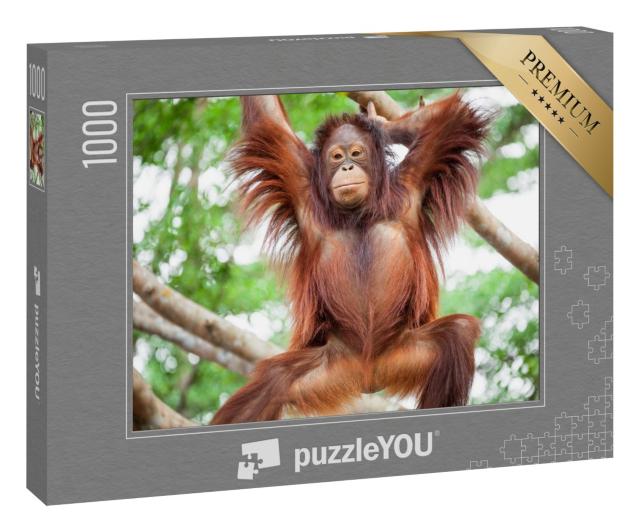 Puzzle 1000 Teile „Orang-Utan  “