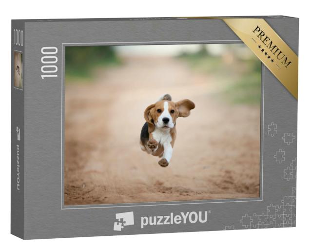 Puzzle 1000 Teile „Ein Beagle-Welpe im Hinterhof“
