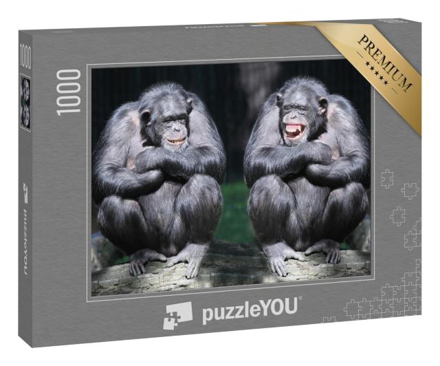 Puzzle 1000 Teile „Zwei Schimpansen in Nahaufnahme“