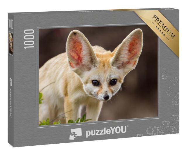 Puzzle 1000 Teile „Niedlicher Fennek-Fuchs mit großen Ohren“