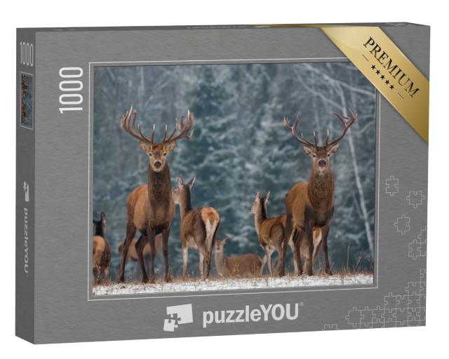 Puzzle 1000 Teile „Eine Herde von Hirschen im winterlichen Wald“
