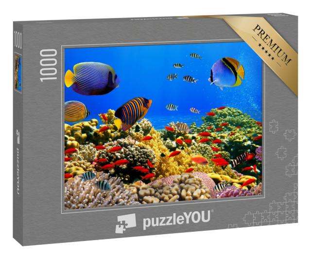 Puzzle 1000 Teile „Korallenkolonie auf einem Riff im Roten Meer“