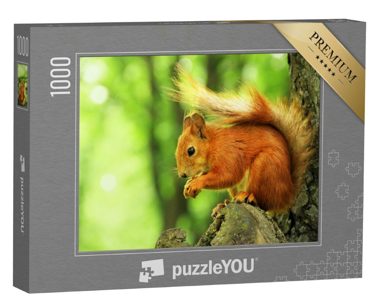 Puzzle 1000 Teile „Schönes rotes Eichhörnchen im Park“