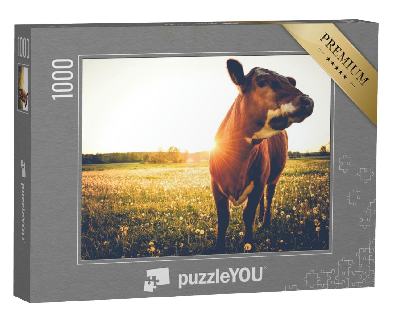 Puzzle 1000 Teile „Glückliche einzelne Kuh auf einer Wiese bei Sonnenuntergang“