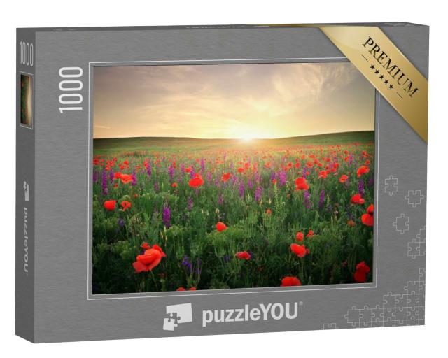 Puzzle 1000 Teile „Feld mit Gras, violetten Blumen und rotem Mohn“