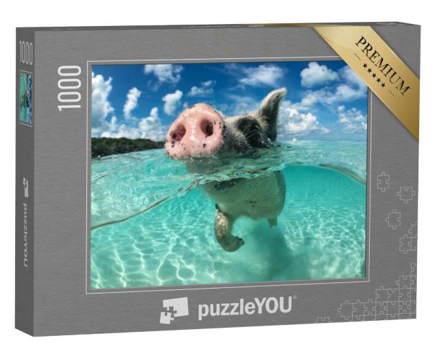 Puzzle 1000 Teile „Ein schwimmendes Schwein, Big Majors Cay, Bahamas“