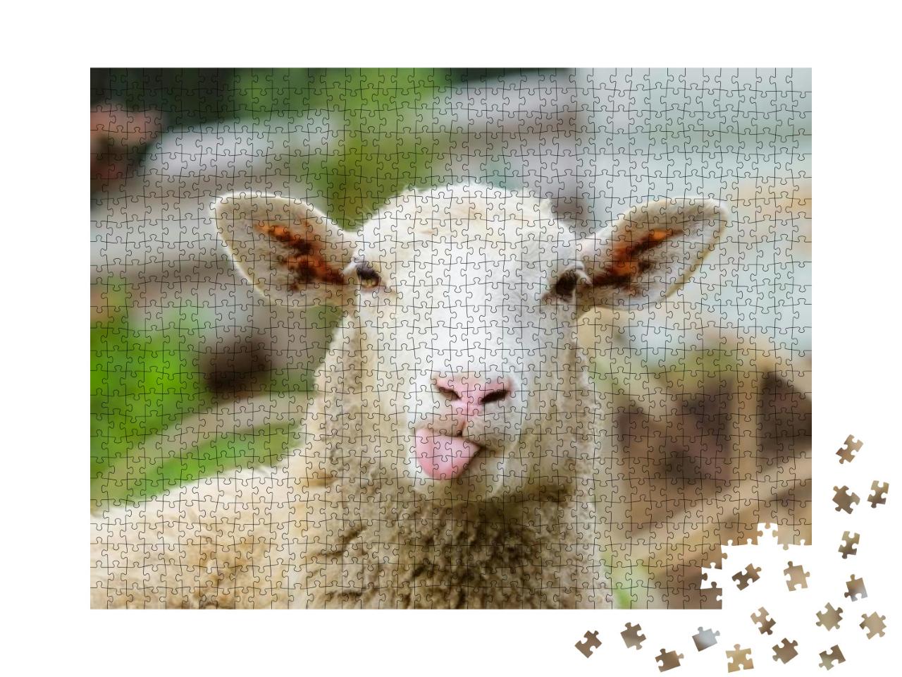 Puzzle 1000 Teile „Porträt eines Schafes “