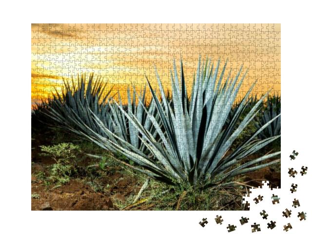 Puzzle 1000 Teile „Tequila-Plantage, Guadalajara, Mexiko“