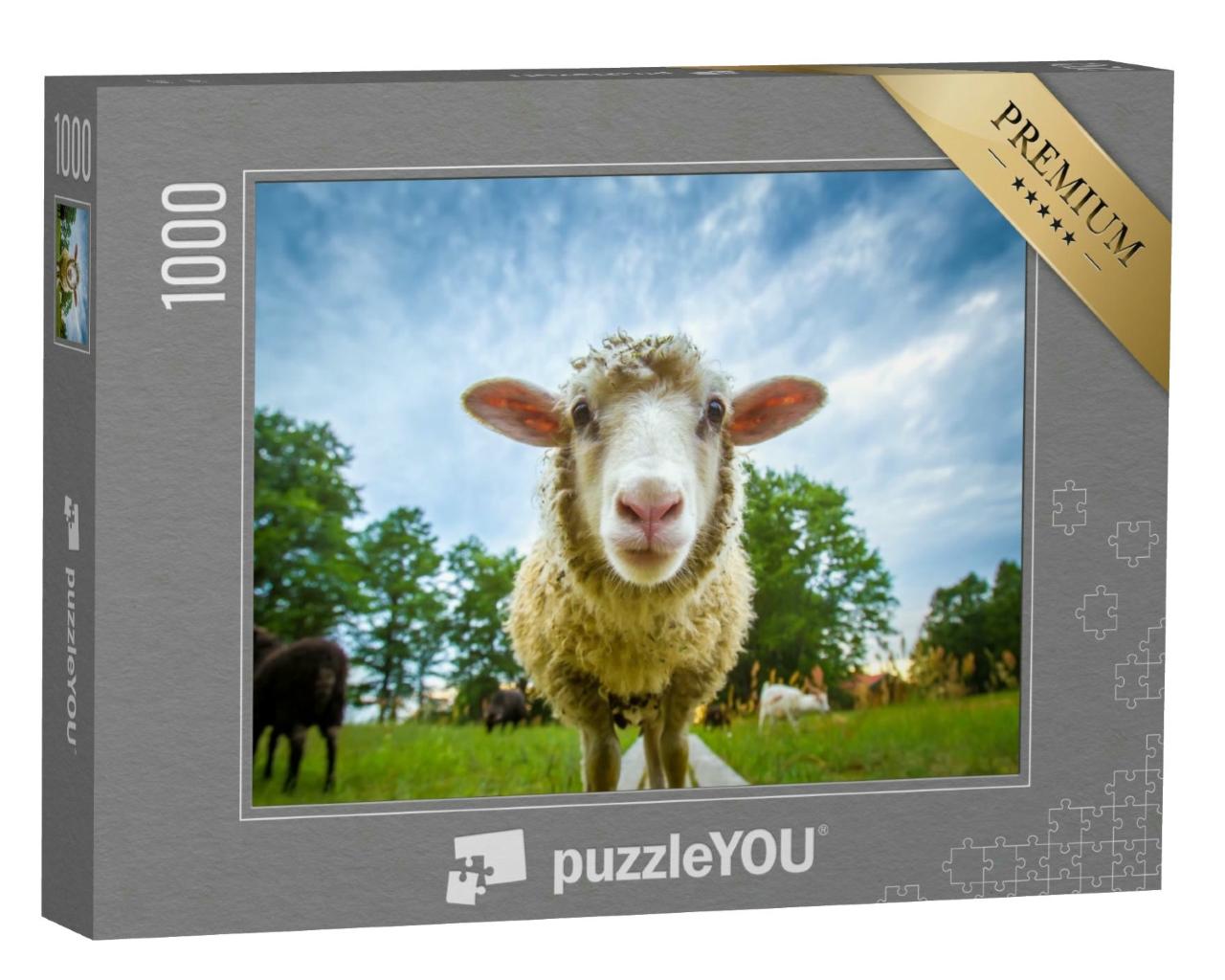 Puzzle 1000 Teile „Auge in Auge mit einem Schaf“