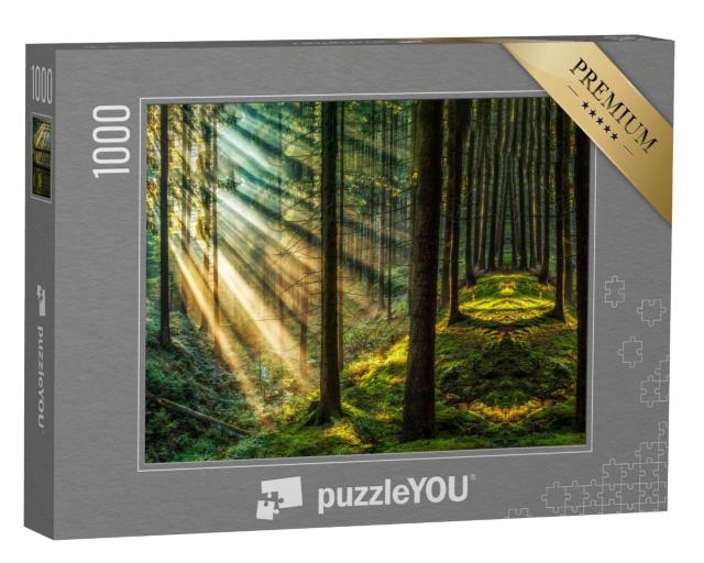 Puzzle 1000 Teile „Dunkler Wald mit Sonnenstrahlen “