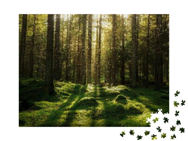 Puzzle 1000 Teile „Magischer Märchenwald mit bemoosten Nadelbäumen“
