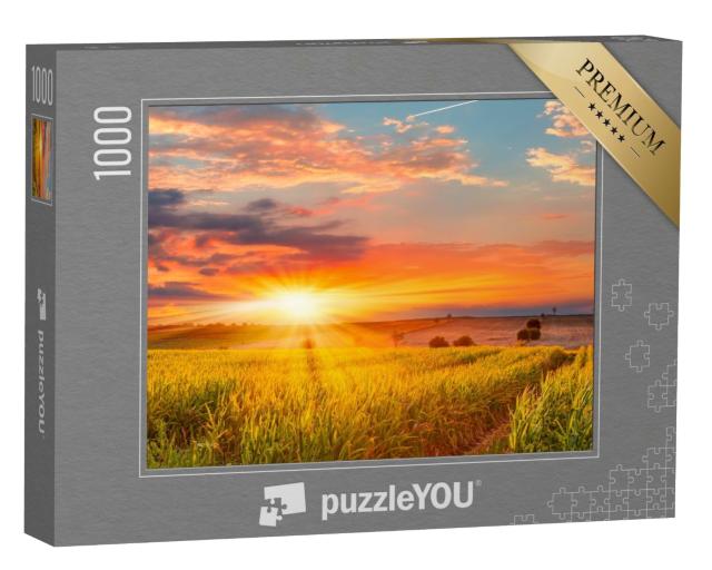 Puzzle 1000 Teile „Sonnenaufgang über einem Maisfeld“