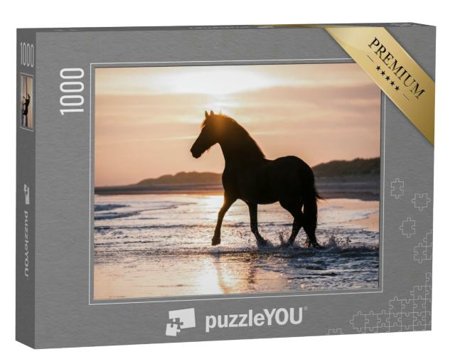 Puzzle 1000 Teile „Schwarzes Pferd trabt frei am Strand gegen das Abendlicht“