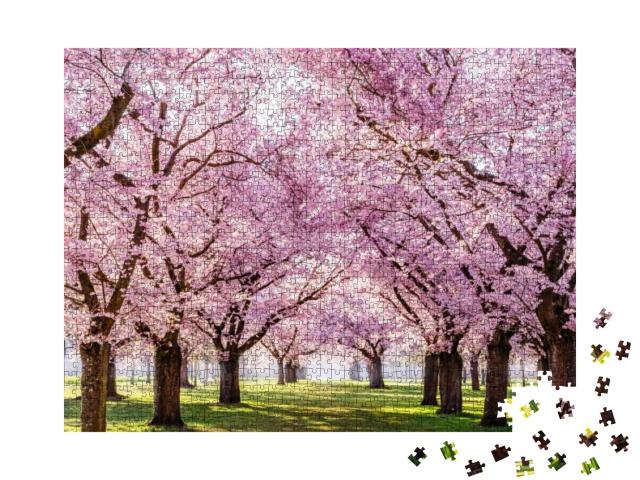Puzzle 1000 Teile „Sakura-Kirschblüten-Allee in einem wunderschönen Park“