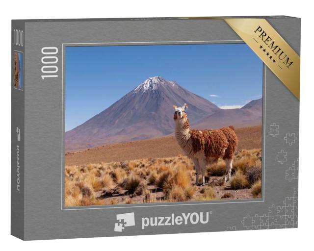 Puzzle 1000 Teile „Lama, hinter ihm der Vulkan Licancabur an der Grenze zwischen Bolivien und Chile“