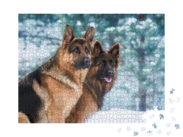 Puzzle 1000 Teile „Porträt von zwei Deutschen Schäferhunden im Winter“