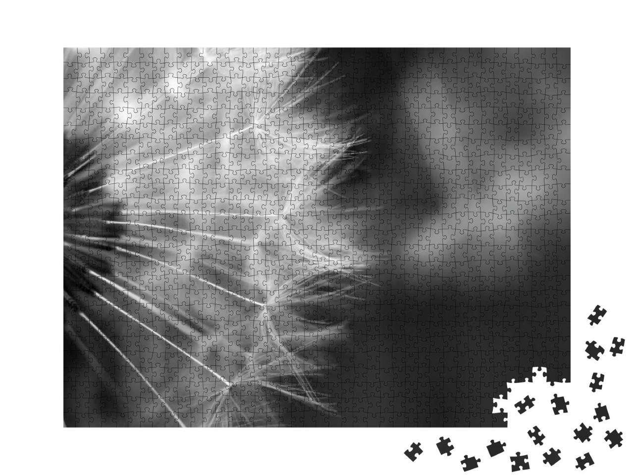 Puzzle 1000 Teile „Makrofotografie einer Pusteblume “