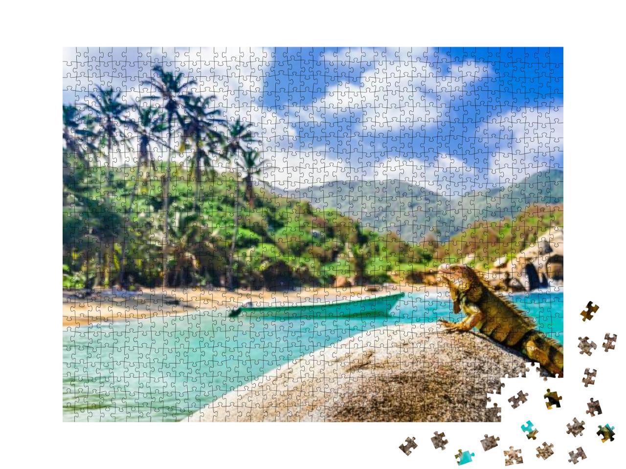 Puzzle 1000 Teile „Leguan auf einem Felsen im Nationalpark Tayrona in Kolumbien“