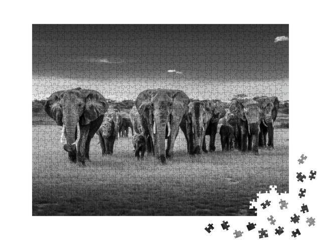 Puzzle 1000 Teile „Elefantenherde in Tansania, schwarz-weiß“