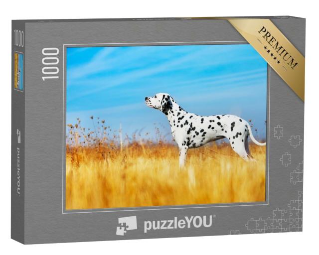 Puzzle 1000 Teile „Schöner Dalmatiner auf einem Feld“